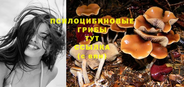 кокаин перу Ладушкин