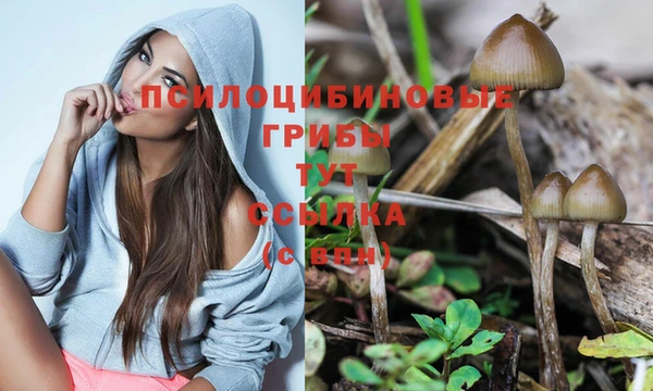 стаф Лабытнанги