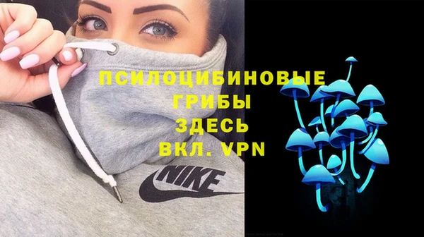 mdma Лагань