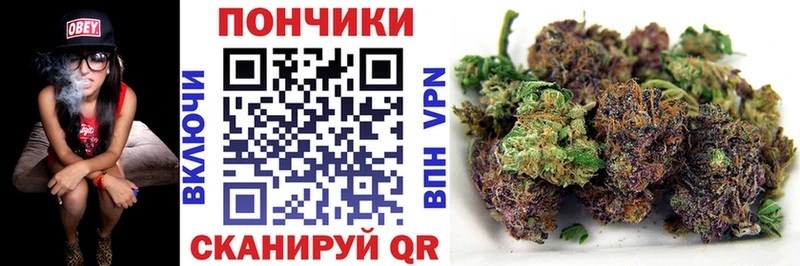 Конопля сатива купить закладку kraken онион площадка какой сайт Певек